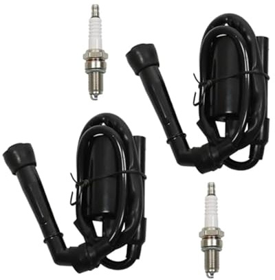 CDI Zündspule Für Suzuki Für Intruder Für VS700 Für VS750 Für VS800 1986-2000 2001 2002 2003 2004 2 Stück Motorrad Zündspule Zündkerze Zündspule