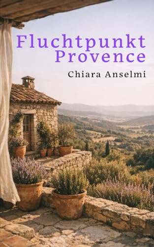 Fluchtpunkt Provence: Roman einer Demontage