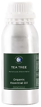 Mystic Moments | Organic Tea Tree Essential Oil | 500g | Melaleuca alternifolia gives a fresh herbaceous aroma for diffusers, oil blends and fragrance formulations.