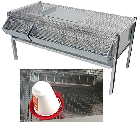 Gabbia Sovrapponibile in Rete Zincata per Quaglie Ingrasso (40-50 Capi). Max Ingombro cm 46 x 100 x H 50. In Omaggio Abbeveratoio e Mangiatoia Supplementari