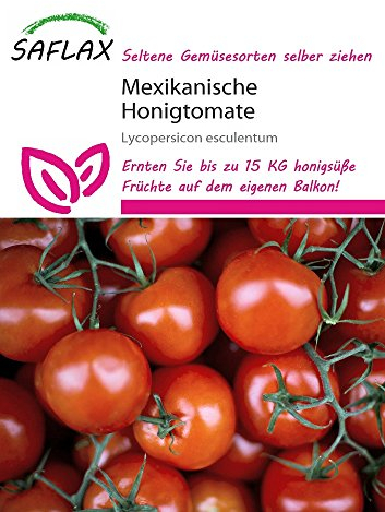 Saflax 13427 Mexikanische Honigtomate (Honigtomatensamen)