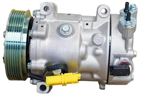 Compresor de aire acondicionado compatible con Peugeot 307 308 807 607 406, compatible con Citroen 9800839580 9671216780 9659875880 9651911480 9656483580
