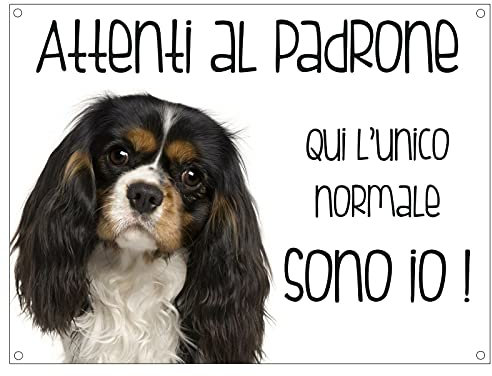 CARTELLO CANE - CAVALIER KING NERO Attenti al padrone qui l'unico normale sono io - Con Adesivo in Vinile e Pannello in Forex (Adesivo)