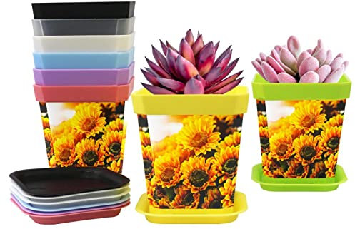 Macetas cuadradas de plástico con bandejas para plantas de 7 cm de grosor, para luz del sol y girasol, 8 unidades