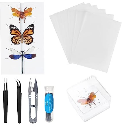 Herstellung von Insektenproben Werkzeug Kit, Insektenstiften, Insektenstiften Brett, Flügel Presspapier, Pinzette, Schere, Insekt Vitrine, Insektensammlung für Bug Hobbyist/Biologie Projekte