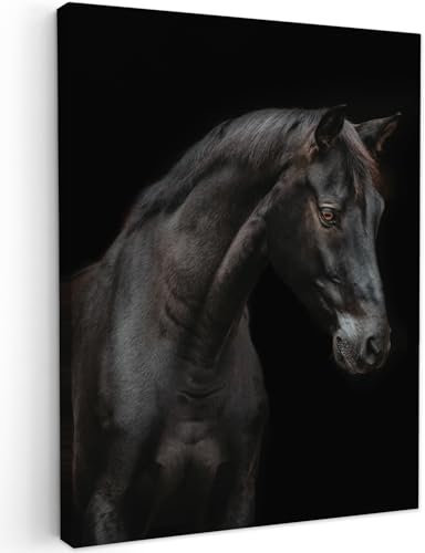 MuchoWow© Wandbilder 30x40 cm Schlafzimmer Home Deko Wohnung Bild Wohnzimmer Fotoleinwand Wand Bilder Leinwand Wall Decor Pferd - Tiere - Schwarz - Porträt