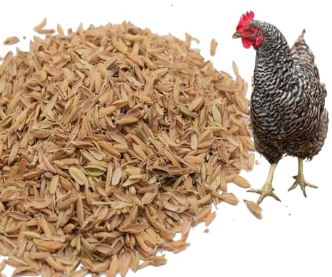 Mejale Reisspelzen Gartenbauqualität 60L für Pflanzen, Gartenbau, Geflügel, Gewächshäuser | Einstreu für Wachteln, Hühner, Hamster | Reisschalen natürlicher Pflanzendünger