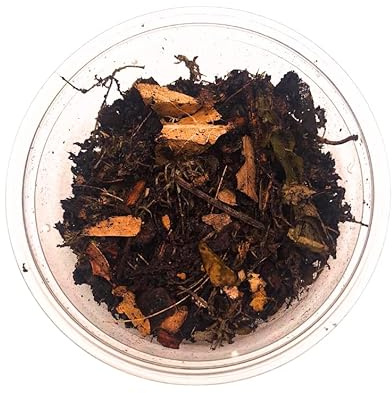 1L IsoEarth Substrate Mix - Perfect for Invertebrates, Spiders, Isopods, Mantis, Millipedes, Snails Bioactive Substrate with Leaf Litter