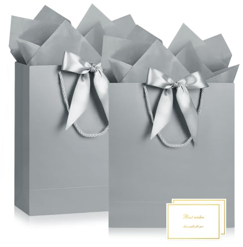 JMANNI 2Pcs Medium Silver Gift Bags for Present,Birthday Gift Bag Women Men | 29x22x10cm Luxury Vertical Birthday Bag for Present Wedding Party Celebrations Anniversary,Includes 2 Cards & 4 Tissue Papers