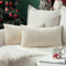 MIULEE 2er Set SAMT Weihnachten Kissenbezug Kissenhülle Dekorative Dekokissen Sofakissen Lendenkissen Wurfkissenbezug mit Verstecktem Reißverschluss Sofa Schlafzimmer 12x20 Inch 30x50 cm Creme weiß