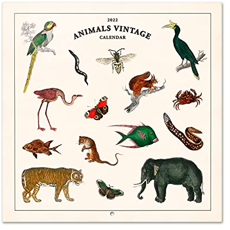 Grupo Erik Animals Vintage Kalender 2022 Wandkalender 2022 Groß für 16 Monate, CP22075, Weiß