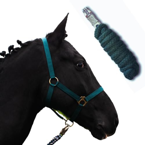 Halfter für Pferde mit Strick | Führstrick Pferd mit Halfter | Halfter Shetty, Pony, Vollblut, Full, X-Full mit Strick (Dunkelgruen, Mini Shetty)