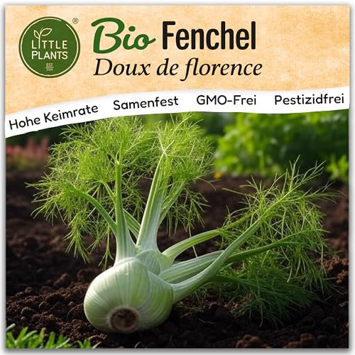 Little Plants BIO Fenchel Samen 150 Fenchelsamen Doux de Florence Gemüsesamen Samenfest für Gemüsegarten Gemüse Samen Hochbeet Samen für Küche, Balkon und Garten