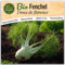 Little Plants BIO Fenchel Samen 150 Fenchelsamen Doux de Florence Gemüsesamen Samenfest für Gemüsegarten Gemüse Samen Hochbeet Samen für Küche, Balkon und Garten