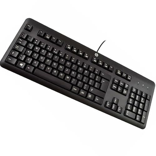 HP Clavier QWERTY USB KU-1156 Noir 106 Touches Keyboard Neuf
