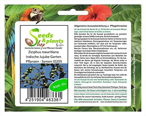 Stk - 10x Ziziphus mauritiana Indische Jujube Garten Pflanzen - Samen ID205 - Seeds & Plants Shop by Ipsa