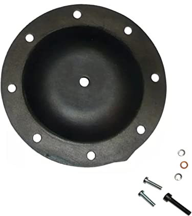 Kit de Réparation Diaphragme Membrane de Pompe à Vide équivalent à 4599.24 A0015860743