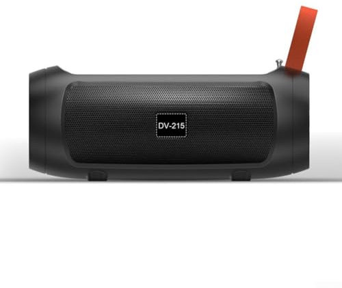 Enceinte solaire sans fil avec lampe de poche et fente pour carte - Haut-parleur solaire léger pour camping, vélo, randonnée, voyage (noir)