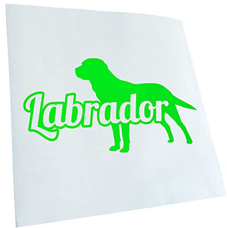 Kiwistar - Autoaufkleber - Neongrün - 19x10cm Labrador mit Name Retriever Aufkleber für Auto, Laptop, Fahrrad, LKW, Motorrad Mehrfarbig JDM Decal Racing