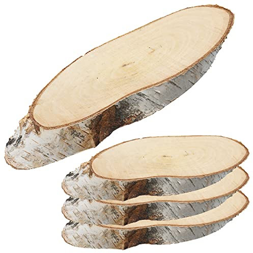 Baumscheibe Holzscheibe 4er Set │ 14x29x2,5cm Birke Naturprodukt │ Scheibe Holzplatte Dekoelement
