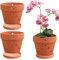 Ollas de orquídeas con agujeros, 3 piezas de 5 pulgadas Terracotta Orquídea de orquídea con agujeros y platillos, macetas de orquídea de arcilla para reaparición, maceta de orquídea de terracota pequ