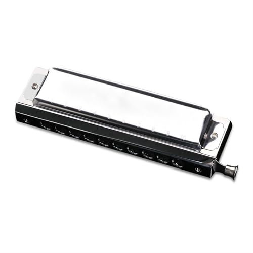 Harmonika Für Schüler Die Chromatische Mundharmonika Mit 10 Löchern Und 40 Tönen Eignet Sich Für Anfänger Und Erwachsene Um Das Instrument Mundharmonika Zu Spielen