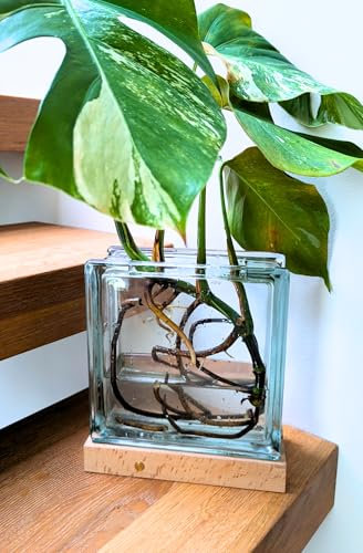 Glasblock Vase beleuchtet, 7 Farben LED, Blumenvase, Dekovase, Tischvase, Blumenvase, Dekoration, Geschenkidee, Glasvase, Vase, Glasblock, Retro, beleuchtet,