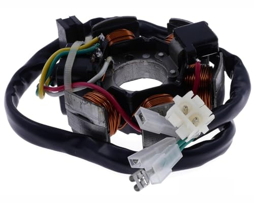 Lichtmaschine Stator 85W kompatibel für Ducati APRILIA RX SX DERBI GPR Senda GILERA RCR SMT 50