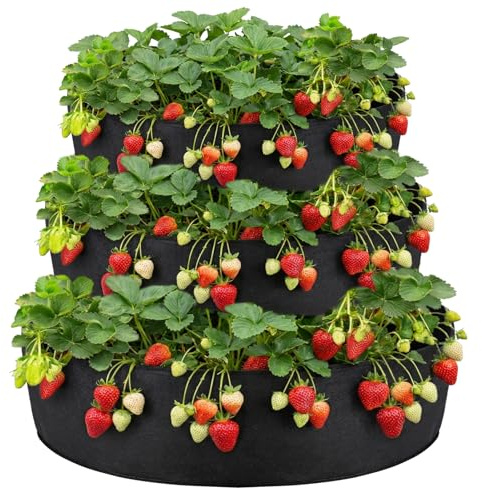 HFYZZ 3 Tiered Fabric Strawberry Planter 48 36 24 Inch Strawberry Pyramid Planter for Outdoor Growing Vegetables Herb Plant