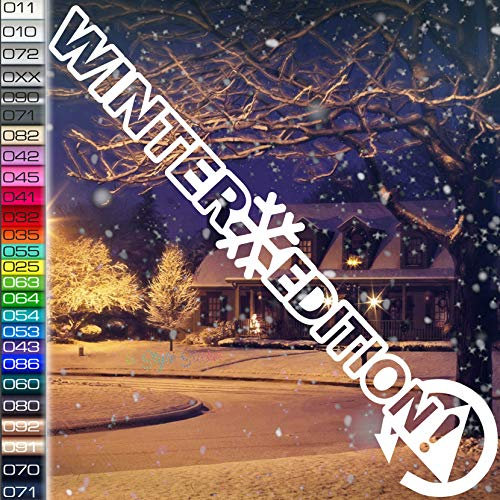 Winter Edition ESP Aufkleber Winterauto Autoaufkleber Sticker Ice Winterbude Winteraufkleber Winterspaß