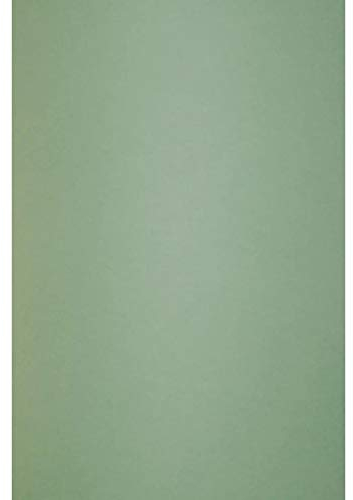 Netuno 50x Grün Premium Karton DIN A4 21 x 29,7 cm 300g Keaykolour Matcha Tea Naturkarton Kreativ Karten ökologisch zum Gestalten von Einladungs Hochzeits Geburtstags