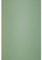 Netuno 50x Grün Premium Karton DIN A4 21 x 29,7 cm 300g Keaykolour Matcha Tea Naturkarton Kreativ Karten ökologisch zum Gestalten von Einladungs Hochzeits Geburtstags