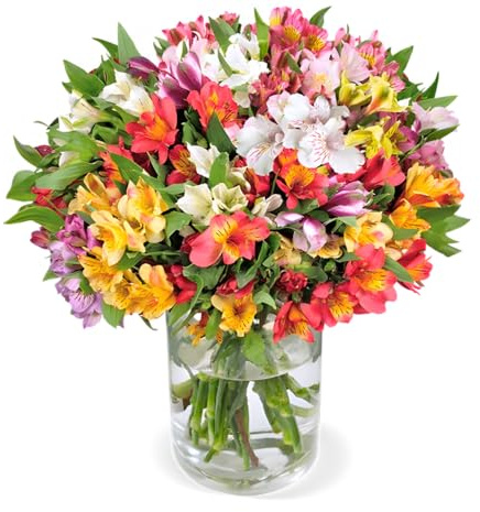 Blume Ideal Blumenstrauß | 30 Inkalilien | Ø 40–50 cm | Echte Inkalilien für Geburtstag & Deko | 7 Tage Frischegarantie | In verschiedenen Farben und Mengen