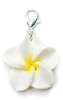 Miniblings Frangipani Blume Blüte Hawaii Surfen Plumeria weiß - Handmade Modeschmuck I Kettenanhänger versilbert - Bettelanhänger Bettelarmband - Anhänger für Armband