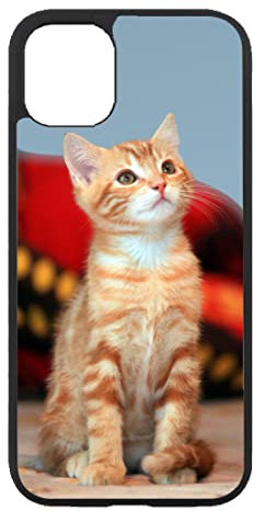 générique Coque pour Huawei P Smart 2019 Adorable Chat - Chat Robe Cannelle - Coque Noire TPU Souple (P Smart 2019)