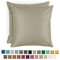 Blumtal 2er Set Kissenbezug 50x50 cm Taupe - dekorativer Samt Kissenbezug mit verstecktem Reißverschluss, Kissenhülle für Zierkissen Deko-Kissen Polster Sofakissen & Couchkissen, waschbar