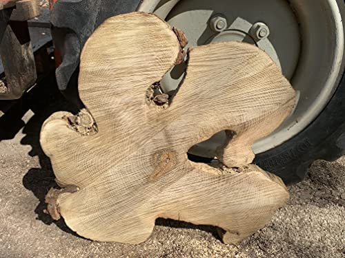 Baumscheibe, Holzscheibe, Baumscheibe, ca. 60x5 cm Robinie Tischplatte