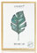 Ligarti® Bilderrahmen natur (Made in EU) I Rahmen aus Echtholz A3 29,7x21 I Holzbilderrahmen, Holzrahmen I (A3, natur)
