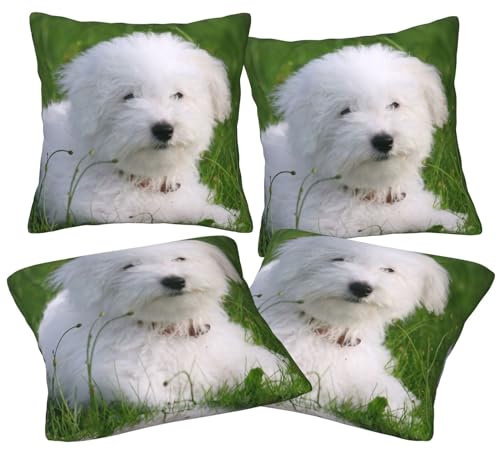 Jmorco Bichon On The Grass Wurfkissenbezüge, 4 Stück, quadratische Kissenbezüge, superweicher Kissenschutz mit Reißverschluss, für Couch, Wohnzimmer, Sofa, Bett, Büro, Auto