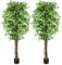 Keeplush Kunstpflanze Ficusbaum 210cm, Künstliche Pflanzen groß wie echt mit Stamm aus Naturholz, Kunstbaum groß für Wohnzimmer, Schlafzimmer, Büro, Garten (2 Pack)