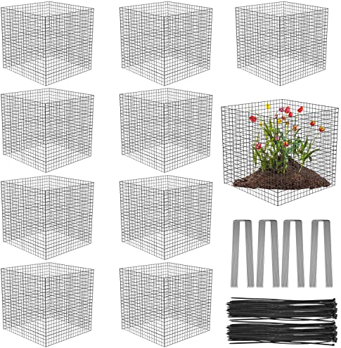 10 Stück Draht-Pflanzenschutz, quadratisch, Draht, Pflanzenkäfig, Hühnerdraht, Glocke mit 40 Erdspießen und 200 Nylonbändern, schützt Pflanzen, Garten, Sträucher und Gemüse vor Tieren, 30,5 x 30,5 cm