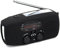 CRGANGZY Portable Emergency Radio, Wind Up Solar Hand Crank Powered Weather Radio with AM/FM Tuner 2000mAh USB Phone Charger SOS Alarm Bright LED Flashlight for Household Outdoor (Black)
