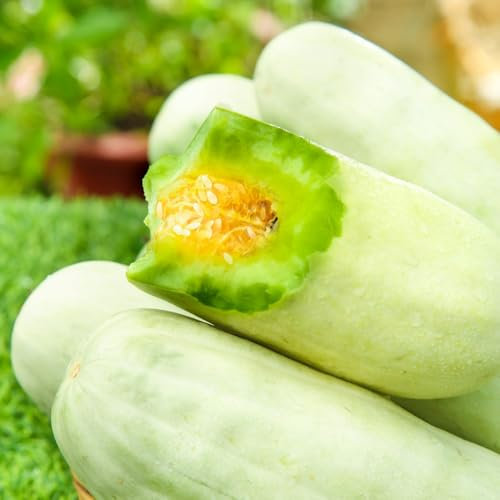 Semi di melone cantalupo (Cucumis melo) - bonsai, serra acquistare alberi da frutto, semi piante resistenti per balconi, biologici piante perenni resistenti da giardino, in vaso 300pcs