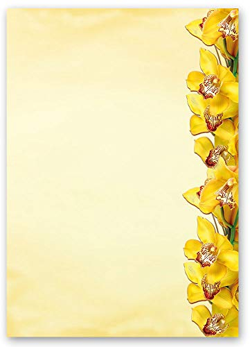 20 Blatt Briefpapier GELBE ORCHIDEEN - DIN A4 Format - Blumen & Blüten
