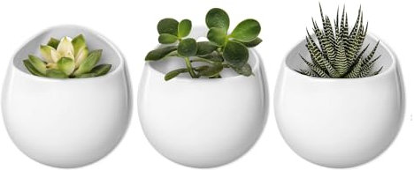 Mkono 4 Inch Wall Mounted Planter Ceramic Hanging Plant Holder Decorative Flower Display Vase Succulent Pots for Indoor Plants, Set of 3, White