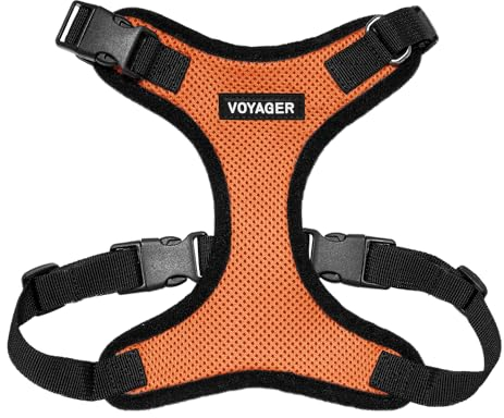 Voyager Step-In Lock Pet Harness – Allwetter-Mesh Verstellbares Step-in-Geschirr für Katzen und Hunde von Best Pet Supplies – Orange/Schwarzer Rand, XS