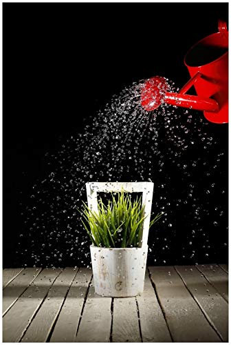 Wallario Glasbild Grüne Pflanze mit roter Gießkanne - 60 x 90 cm Wandbilder Glas in Premium-Qualität: Brillante Farben, freischwebende Optik