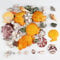 Dogrundi Mixtes Coquillage Decoration, Capiz Shell, Coquilles Saint Jacques, Deco Plage, Perle Coquillage, Etoile de Mer Naturelle Coquillage, pour Vase Remplissage Plage Thème Fête Mariage Décoration