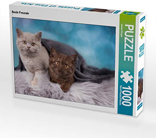 CALVENDO Puzzle Beste Freunde | 1000 Teile Lege-Größe 64 x 48 cm Foto-Puzzle für glückliche Stunden