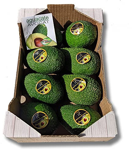 Aguacate Hass Pack 2 kg. Compra Aguacates Hass seleccionados uno por uno para ti. Aguacates frescos.